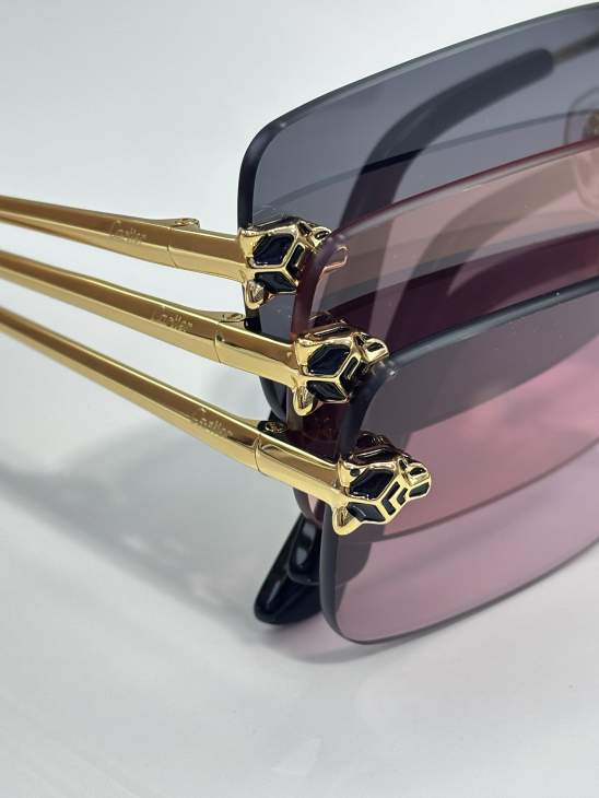 Picture of Cartier Sunglasses _SKUfw79759919fw